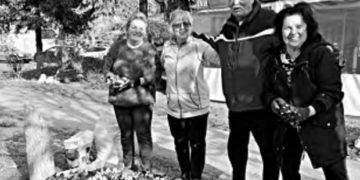 Dugo selo: gredica lijepog cvijeća