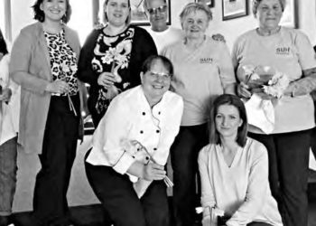 Podjela narcisa i ribica