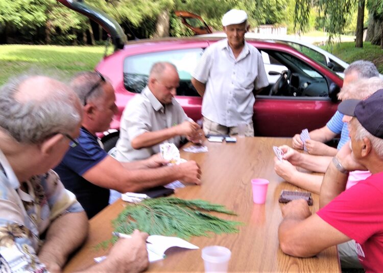 Ljetni piknik na Psunju