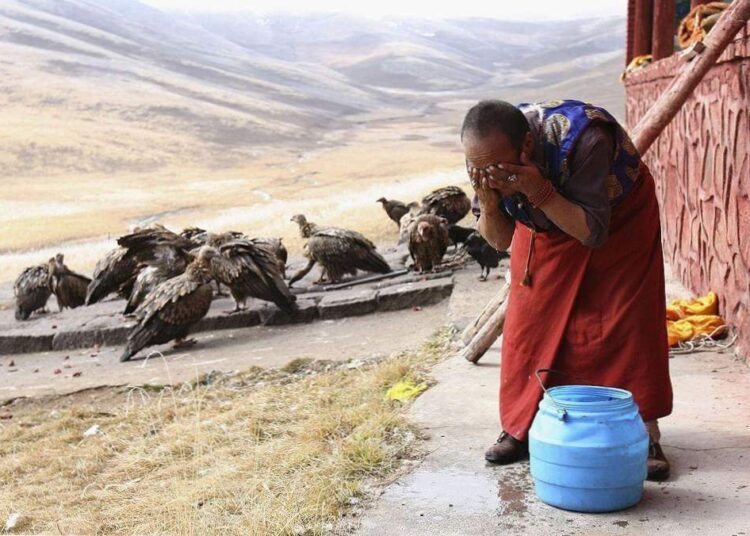 UVODNA RIJEČ: Budi gnoj, budi ruža