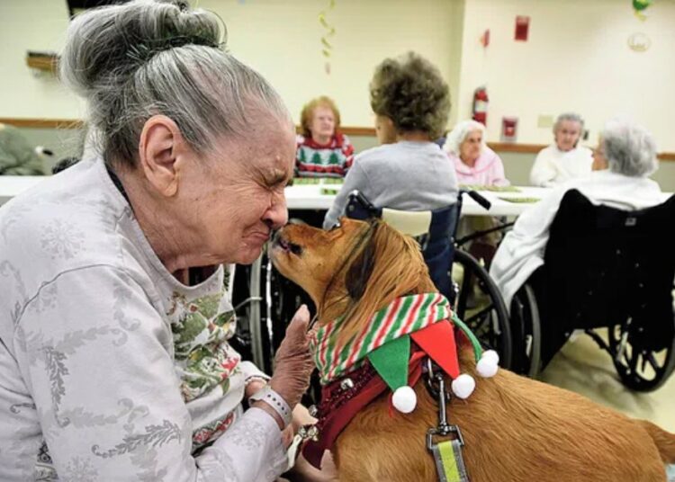 Kućni ljubimci u domovima za starije