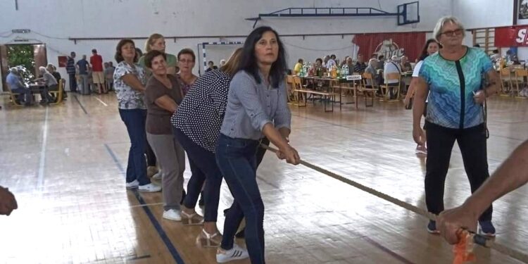 Učenici kao podrška