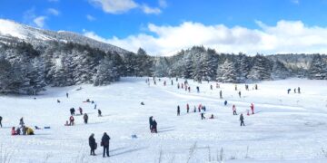 Dalmatinci na snijegu