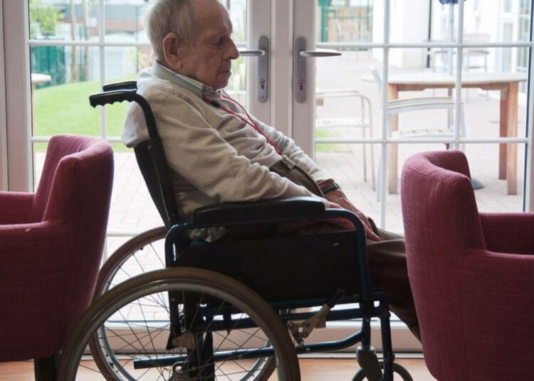 Zakamuflirana bijeda