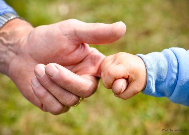 Novi Zakon o privremenom uzdržavanju unučadi – nepotpun