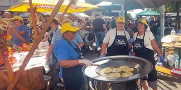 Stara jela z Dugog Sela