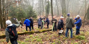 Dobrotvorne akcije čišćenja i pošumljavanja
